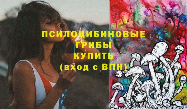 СК Абаза