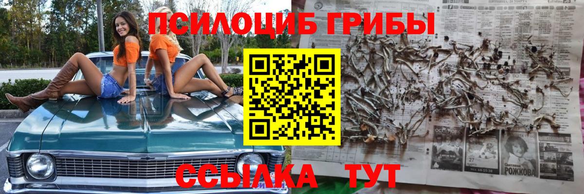 Псилоцибиновые грибы MAGIC MUSHROOMS  Вход с VPN  Мыски 
