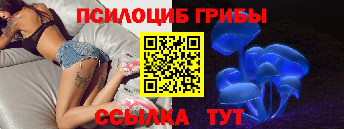 Псилоцибиновые грибы прущие грибы Мыски